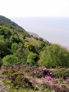 2005-05-11-15-06-38_porlock_weir_to_minehead-042_porlock_weir_to_minehead.jpg  porlock_weir_to_minehead 