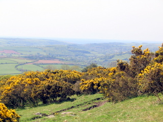 2005-05-18-10-40-36_bittaford_moor_gate-001_bittaford_moor_gate.jpg 2005-05-18-10-40-36_bittaford_moor_gate-001_bittaford_moor_gate.jpg bittaford_moor_gate