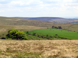 2005-05-18-11-41-01_bittaford_moor_gate-011_bittaford_moor_gate.jpg 2005-05-18-11-41-01_bittaford_moor_gate-011_bittaford_moor_gate.jpg bittaford_moor_gate
