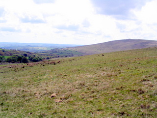 2005-05-18-11-49-01_bittaford_moor_gate-012_bittaford_moor_gate.jpg 2005-05-18-11-49-01_bittaford_moor_gate-012_bittaford_moor_gate.jpg bittaford_moor_gate