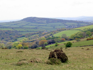 2005-05-18-12-13-02_bittaford_moor_gate-020_bittaford_moor_gate.jpg 2005-05-18-12-13-02_bittaford_moor_gate-020_bittaford_moor_gate.jpg bittaford_moor_gate