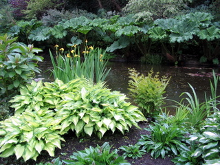 2005-05-21-11-42-40_garden_pine_lodge_may_05-009_garden_pine_lodge_may_05.jpg  garden_pine_lodge_may_05 