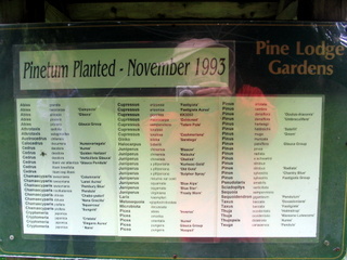 2005-05-21-12-07-58_garden_pine_lodge_may_05-011_garden_pine_lodge_may_05.jpg  garden_pine_lodge_may_05 