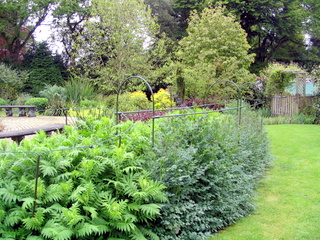 2005-05-21-13-19-44_garden_pine_lodge_may_05-025_garden_pine_lodge_may_05.jpg  garden_pine_lodge_may_05 