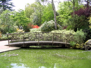 2005-05-21-13-44-44_garden_pine_lodge_may_05-026_garden_pine_lodge_may_05.jpg  garden_pine_lodge_may_05 