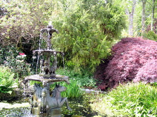 2005-05-21-13-45-18_garden_pine_lodge_may_05-027_garden_pine_lodge_may_05.jpg  garden_pine_lodge_may_05 