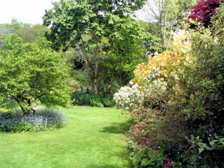2005-05-21-13-45-48_garden_pine_lodge_may_05-028_garden_pine_lodge_may_05.jpg  garden_pine_lodge_may_05 