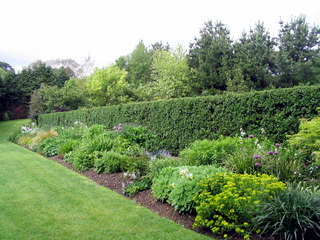 2005-05-21-14-38-06_garden_marsh_villa_may_05-001_garden_marsh_villa_may_05.jpg  garden_marsh_villa_may_05 