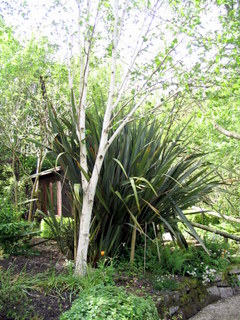 2005-05-21-14-41-38_garden_marsh_villa_may_05-005_garden_marsh_villa_may_05.jpg  garden_marsh_villa_may_05 