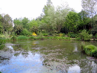 2005-05-21-14-42-10_garden_marsh_villa_may_05-006_garden_marsh_villa_may_05.jpg  garden_marsh_villa_may_05 