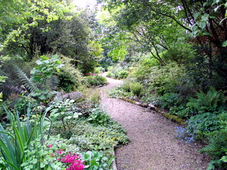 2005-05-21-14-43-35_garden_marsh_villa_may_05-007_garden_marsh_villa_may_05.jpg  garden_marsh_villa_may_05 