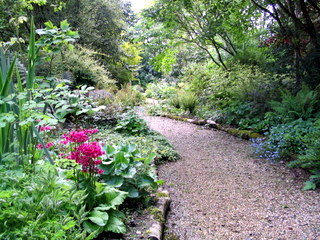 2005-05-21-14-43-43_garden_marsh_villa_may_05-008_garden_marsh_villa_may_05.jpg  garden_marsh_villa_may_05 