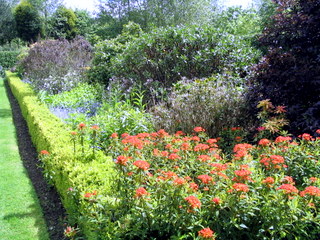 2005-05-21-14-47-08_garden_marsh_villa_may_05-009_garden_marsh_villa_may_05.jpg  garden_marsh_villa_may_05 