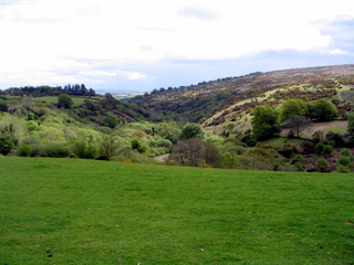2005-05-22-10-25-02_belstone_steeperton_wild_tor_hound_cosdon_may_05-001_belstone_steeperton_wild_tor_hound_cosdon_may_05.jpg  belstone_steeperton_wild_tor_hound_cosdon_may_05 