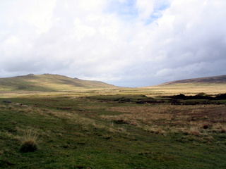 2005-05-22-11-25-56_belstone_steeperton_wild_tor_hound_cosdon_may_05-002_belstone_steeperton_wild_tor_hound_cosdon_may_05.jpg  belstone_steeperton_wild_tor_hound_cosdon_may_05 