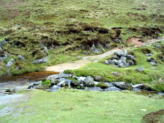 2005-05-22-12-07-22_belstone_steeperton_wild_tor_hound_cosdon_may_05-005_belstone_steeperton_wild_tor_hound_cosdon_may_05.jpg  belstone_steeperton_wild_tor_hound_cosdon_may_05 