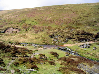 2005-05-22-12-09-35_belstone_steeperton_wild_tor_hound_cosdon_may_05-006_belstone_steeperton_wild_tor_hound_cosdon_may_05.jpg  belstone_steeperton_wild_tor_hound_cosdon_may_05 