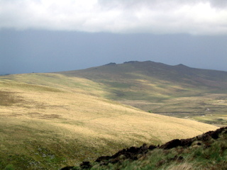 2005-05-22-12-15-51_belstone_steeperton_wild_tor_hound_cosdon_may_05-008_belstone_steeperton_wild_tor_hound_cosdon_may_05.jpg  belstone_steeperton_wild_tor_hound_cosdon_may_05 