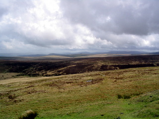 2005-05-22-12-20-08_belstone_steeperton_wild_tor_hound_cosdon_may_05-010_belstone_steeperton_wild_tor_hound_cosdon_may_05.jpg  belstone_steeperton_wild_tor_hound_cosdon_may_05 
