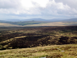 2005-05-22-12-20-17_belstone_steeperton_wild_tor_hound_cosdon_may_05-011_belstone_steeperton_wild_tor_hound_cosdon_may_05.jpg  belstone_steeperton_wild_tor_hound_cosdon_may_05 