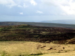 2005-05-22-12-20-24_belstone_steeperton_wild_tor_hound_cosdon_may_05-012_belstone_steeperton_wild_tor_hound_cosdon_may_05.jpg  belstone_steeperton_wild_tor_hound_cosdon_may_05 