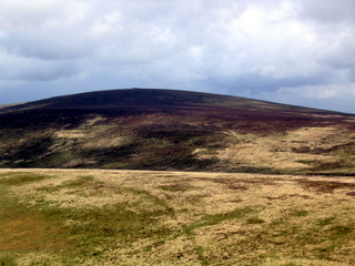 2005-05-22-12-20-31_belstone_steeperton_wild_tor_hound_cosdon_may_05-013_belstone_steeperton_wild_tor_hound_cosdon_may_05.jpg  belstone_steeperton_wild_tor_hound_cosdon_may_05 