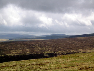 2005-05-22-12-20-40_belstone_steeperton_wild_tor_hound_cosdon_may_05-014_belstone_steeperton_wild_tor_hound_cosdon_may_05.jpg  belstone_steeperton_wild_tor_hound_cosdon_may_05 