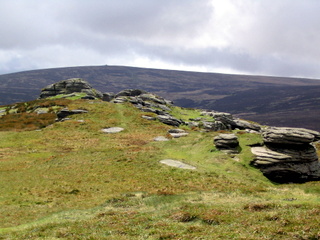 2005-05-22-12-20-51_belstone_steeperton_wild_tor_hound_cosdon_may_05-015_belstone_steeperton_wild_tor_hound_cosdon_may_05.jpg  belstone_steeperton_wild_tor_hound_cosdon_may_05 