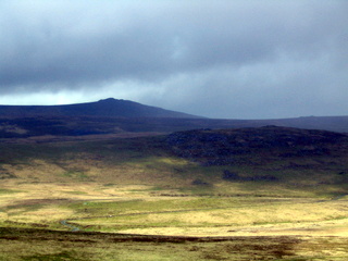 2005-05-22-12-21-03_belstone_steeperton_wild_tor_hound_cosdon_may_05-016_belstone_steeperton_wild_tor_hound_cosdon_may_05.jpg  belstone_steeperton_wild_tor_hound_cosdon_may_05 