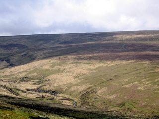 2005-05-22-12-21-34_belstone_steeperton_wild_tor_hound_cosdon_may_05-018_belstone_steeperton_wild_tor_hound_cosdon_may_05.jpg  belstone_steeperton_wild_tor_hound_cosdon_may_05 