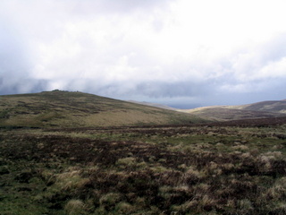2005-05-22-12-39-31_belstone_steeperton_wild_tor_hound_cosdon_may_05-019_belstone_steeperton_wild_tor_hound_cosdon_may_05.jpg  belstone_steeperton_wild_tor_hound_cosdon_may_05 