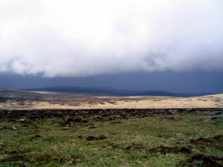 2005-05-22-12-44-08_belstone_steeperton_wild_tor_hound_cosdon_may_05-022_belstone_steeperton_wild_tor_hound_cosdon_may_05.jpg  belstone_steeperton_wild_tor_hound_cosdon_may_05 