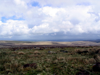 2005-05-22-12-44-22_belstone_steeperton_wild_tor_hound_cosdon_may_05-023_belstone_steeperton_wild_tor_hound_cosdon_may_05.jpg  belstone_steeperton_wild_tor_hound_cosdon_may_05 