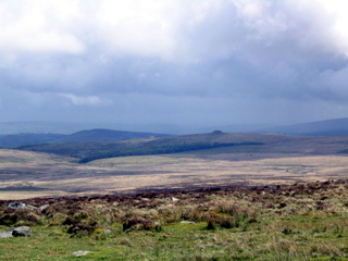 2005-05-22-12-44-50_belstone_steeperton_wild_tor_hound_cosdon_may_05-025_belstone_steeperton_wild_tor_hound_cosdon_may_05.jpg  belstone_steeperton_wild_tor_hound_cosdon_may_05 
