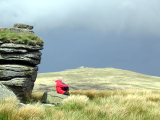 2005-05-22-12-44-57_belstone_steeperton_wild_tor_hound_cosdon_may_05-026_belstone_steeperton_wild_tor_hound_cosdon_may_05.jpg  belstone_steeperton_wild_tor_hound_cosdon_may_05 