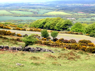 2005-05-22-14-26-36_belstone_steeperton_wild_tor_hound_cosdon_may_05-030_belstone_steeperton_wild_tor_hound_cosdon_may_05.jpg  belstone_steeperton_wild_tor_hound_cosdon_may_05 