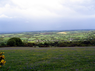 2005-05-22-14-28-44_belstone_steeperton_wild_tor_hound_cosdon_may_05-031_belstone_steeperton_wild_tor_hound_cosdon_may_05.jpg  belstone_steeperton_wild_tor_hound_cosdon_may_05 