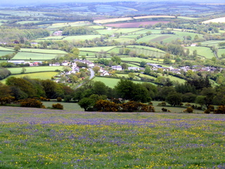 2005-05-22-14-28-54_belstone_steeperton_wild_tor_hound_cosdon_may_05-032_belstone_steeperton_wild_tor_hound_cosdon_may_05.jpg  belstone_steeperton_wild_tor_hound_cosdon_may_05 