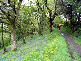 2005-05-22-14-42-30_belstone_steeperton_wild_tor_hound_cosdon_may_05-034_belstone_steeperton_wild_tor_hound_cosdon_may_05.jpg  belstone_steeperton_wild_tor_hound_cosdon_may_05 