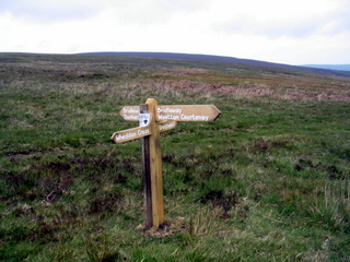 2005-05-25-11-25-50_wheddon_cross_dunkery_beacon_porlock_post_luchwell_bridge_may_05-006_wheddon_cross_dunkery_beacon_porlock_post_luchwell_bridge_may_05.jpg  wheddon_cross_dunkery_beacon_porlock_post_luchwell_bridge_may_05 