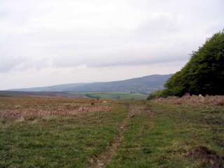 2005-05-25-11-26-04_wheddon_cross_dunkery_beacon_porlock_post_luchwell_bridge_may_05-007_wheddon_cross_dunkery_beacon_porlock_post_luchwell_bridge_may_05.jpg  wheddon_cross_dunkery_beacon_porlock_post_luchwell_bridge_may_05 