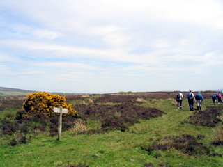 2005-05-25-14-18-28_wheddon_cross_dunkery_beacon_porlock_post_luchwell_bridge_may_05-028_wheddon_cross_dunkery_beacon_porlock_post_luchwell_bridge_may_05.jpg  wheddon_cross_dunkery_beacon_porlock_post_luchwell_bridge_may_05 