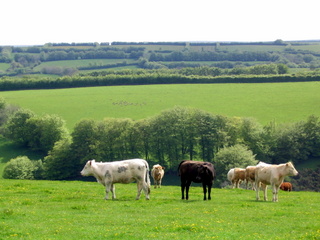 2005-05-25-15-28-24_wheddon_cross_dunkery_beacon_porlock_post_luchwell_bridge_may_05-031_wheddon_cross_dunkery_beacon_porlock_post_luchwell_bridge_may_05.jpg  wheddon_cross_dunkery_beacon_porlock_post_luchwell_bridge_may_05 