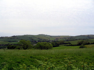 2005-05-29-10-59-38_combe_in_teign_head_maidencombe_shaldon_may_05-001_combe_in_teign_head_maidencombe_shaldon_may_05.jpg  combe_in_teign_head_maidencombe_shaldon_may_05 