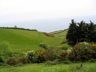 2005-05-29-13-18-07_combe_in_teign_head_maidencombe_shaldon_may_05-002_combe_in_teign_head_maidencombe_shaldon_may_05.jpg  combe_in_teign_head_maidencombe_shaldon_may_05 