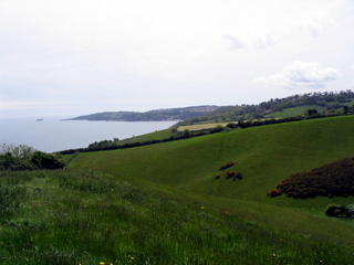 2005-05-29-13-21-38_combe_in_teign_head_maidencombe_shaldon_may_05-003_combe_in_teign_head_maidencombe_shaldon_may_05.jpg  combe_in_teign_head_maidencombe_shaldon_may_05 