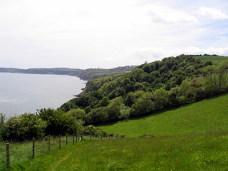 2005-05-29-13-57-48_combe_in_teign_head_maidencombe_shaldon_may_05-004_combe_in_teign_head_maidencombe_shaldon_may_05.jpg  combe_in_teign_head_maidencombe_shaldon_may_05 