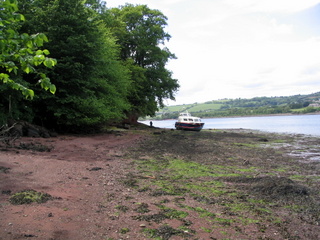 2005-05-29-15-43-25_combe_in_teign_head_maidencombe_shaldon_may_05-006_combe_in_teign_head_maidencombe_shaldon_may_05.jpg  combe_in_teign_head_maidencombe_shaldon_may_05 