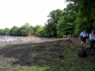 2005-05-29-15-44-21_combe_in_teign_head_maidencombe_shaldon_may_05-007_combe_in_teign_head_maidencombe_shaldon_may_05.jpg  combe_in_teign_head_maidencombe_shaldon_may_05 