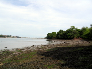2005-05-29-15-44-31_combe_in_teign_head_maidencombe_shaldon_may_05-008_combe_in_teign_head_maidencombe_shaldon_may_05.jpg  combe_in_teign_head_maidencombe_shaldon_may_05 